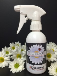 Rug rescue cleaning product