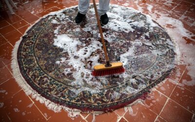 How Professional Carpet Cleaners in Perth Customize Their Services