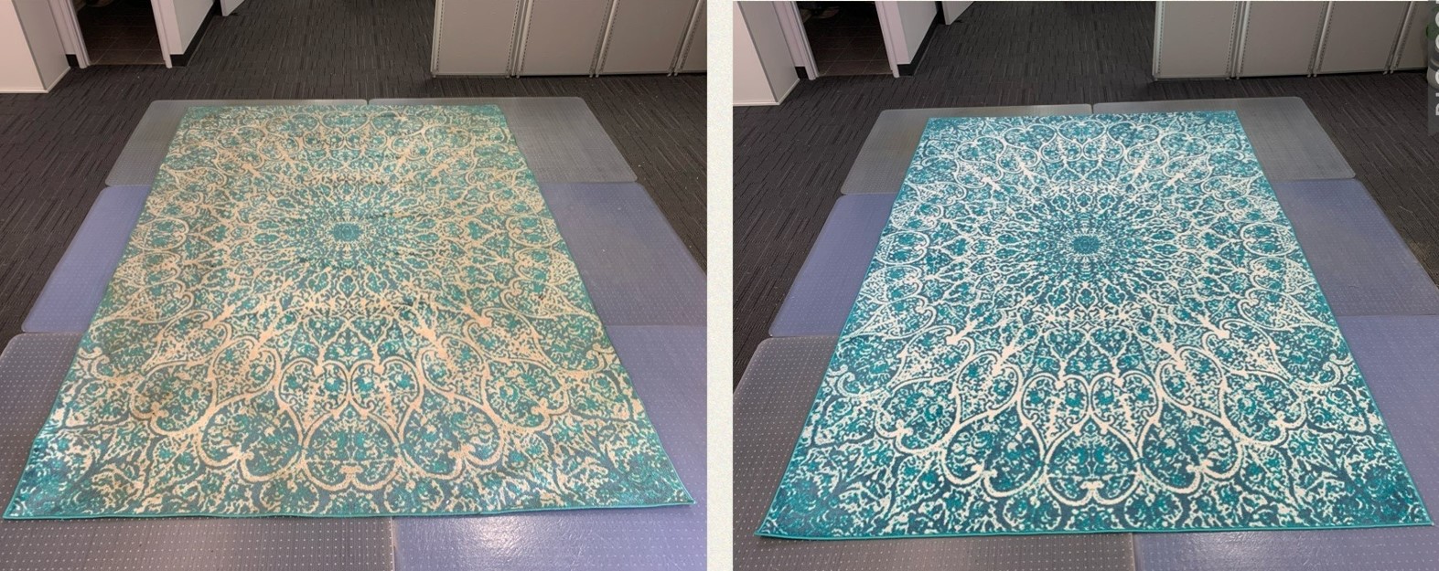 rug dry cleaner