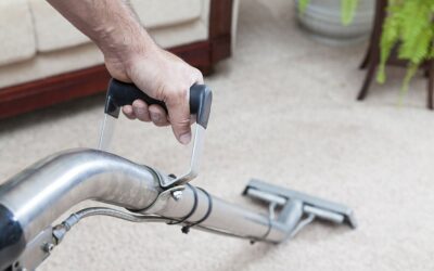 The Advantages of Professional Rug Dry Cleaning and Carpet Steam Cleaning in Perth