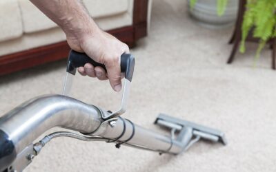 The Advantages of Professional Rug Dry Cleaning and Carpet Steam Cleaning in Perth