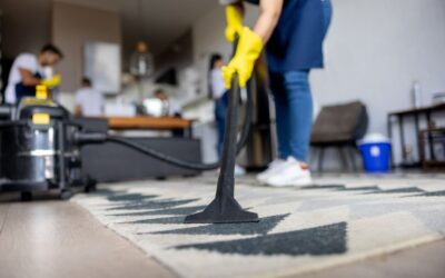 The 7-Step Cleaning Process: A Comprehensive Guide to Rug and Carpet Cleaning Services in Perth