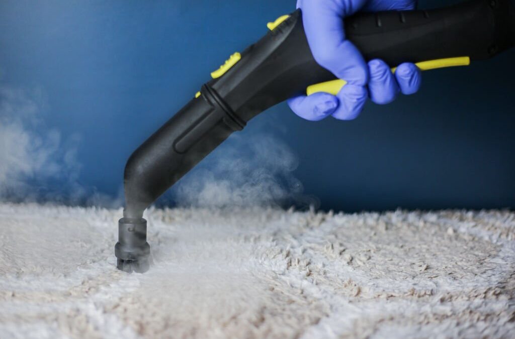 Professional Carpet Steam Cleaning Services in Perth