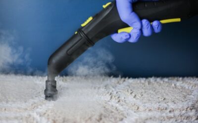 Professional Carpet Steam Cleaning Services in Perth