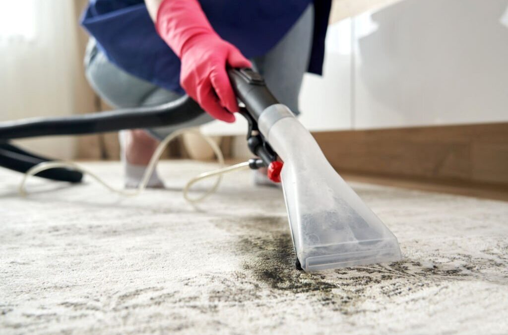 carpet stain removers