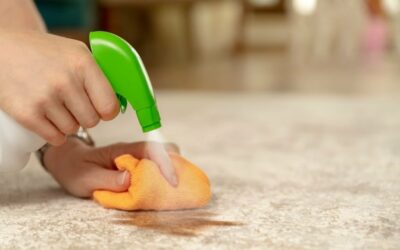 The Ultimate Guide to Choosing the Right Carpet Stain Remover in Perth.